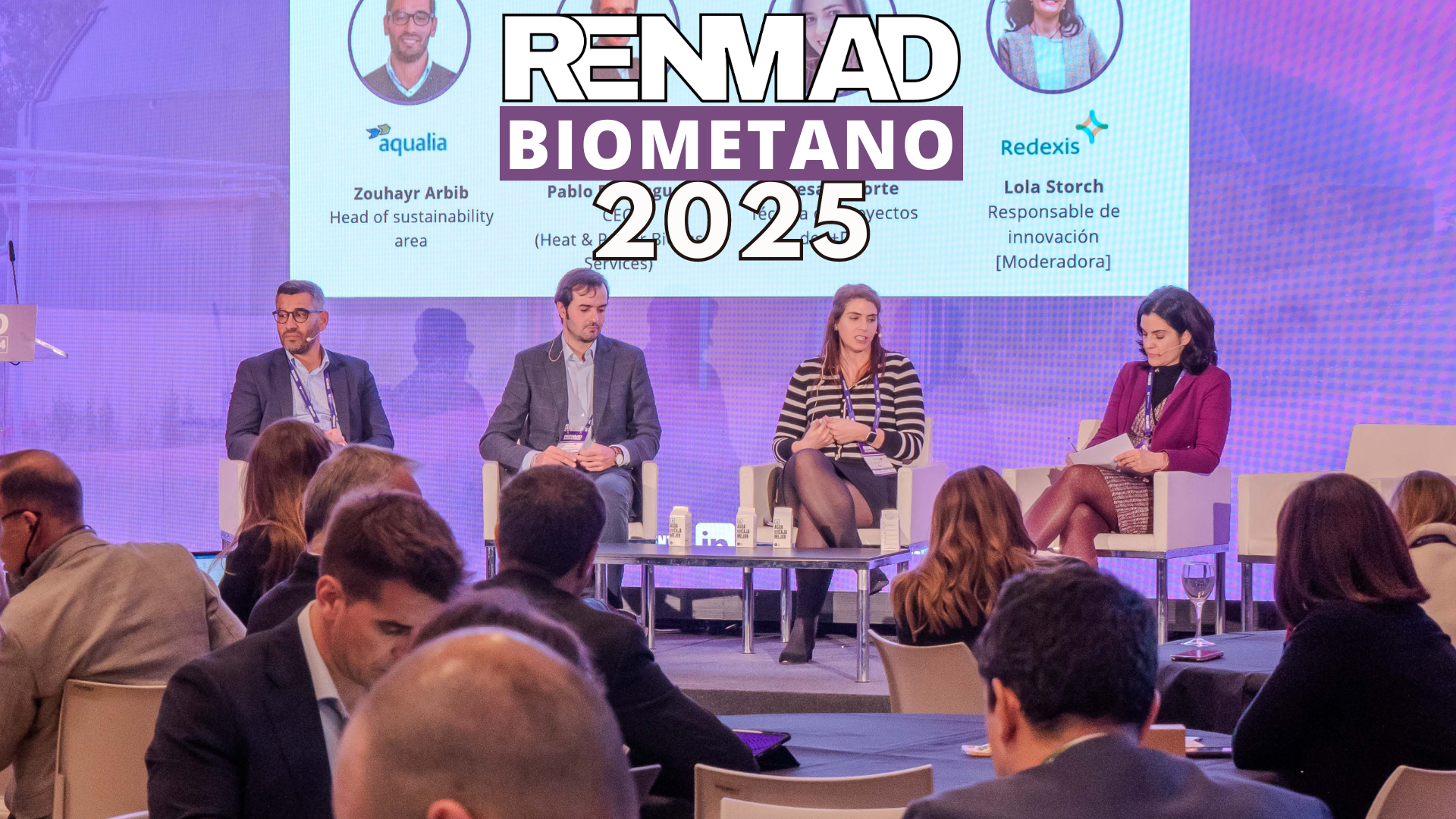 RENMAD Biometano 2025