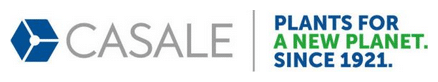 Casale