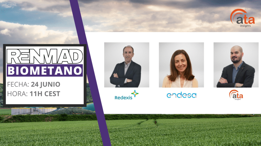 Webinar – Distribución y demanda: el dilema de la bancabilidad del biometano